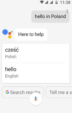 „Google“ padėjėjo „Rela“ laiko vertimo kalba